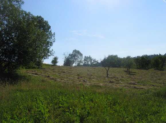 Teren de vânzare Exterior Sud - 25429TV | BLITZ Cluj-Napoca | Poza1