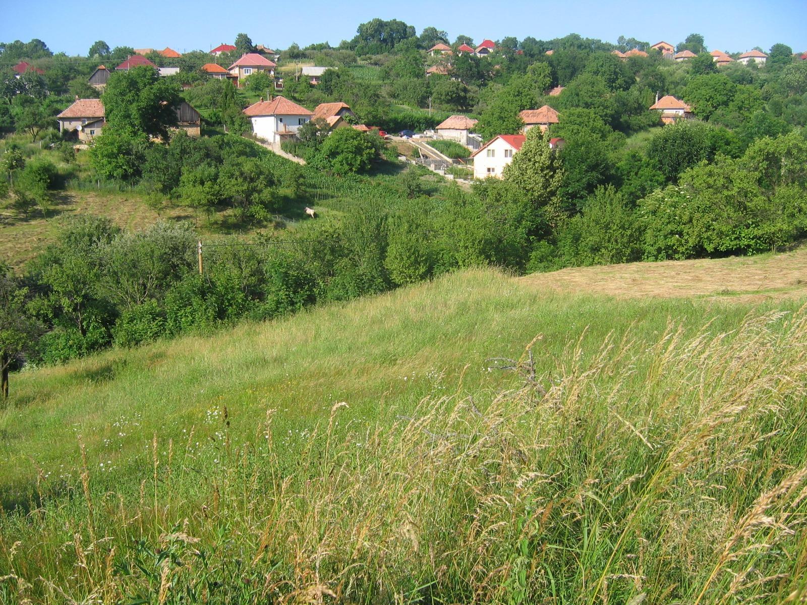 Teren de vânzare Exterior Sud - 25429TV | BLITZ Cluj-Napoca | Poza2