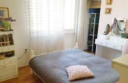 Casa care stie sa se diferentieze! Zona Gradinii Botanice!