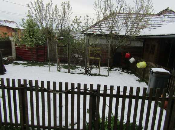 Casa de vânzare 3 camere Dambul Rotund - 25433CV | BLITZ Cluj-Napoca | Poza3