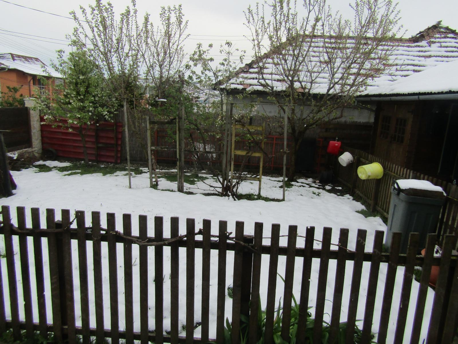 Casa de vânzare 3 camere Dambul Rotund - 25433CV | BLITZ Cluj-Napoca | Poza3