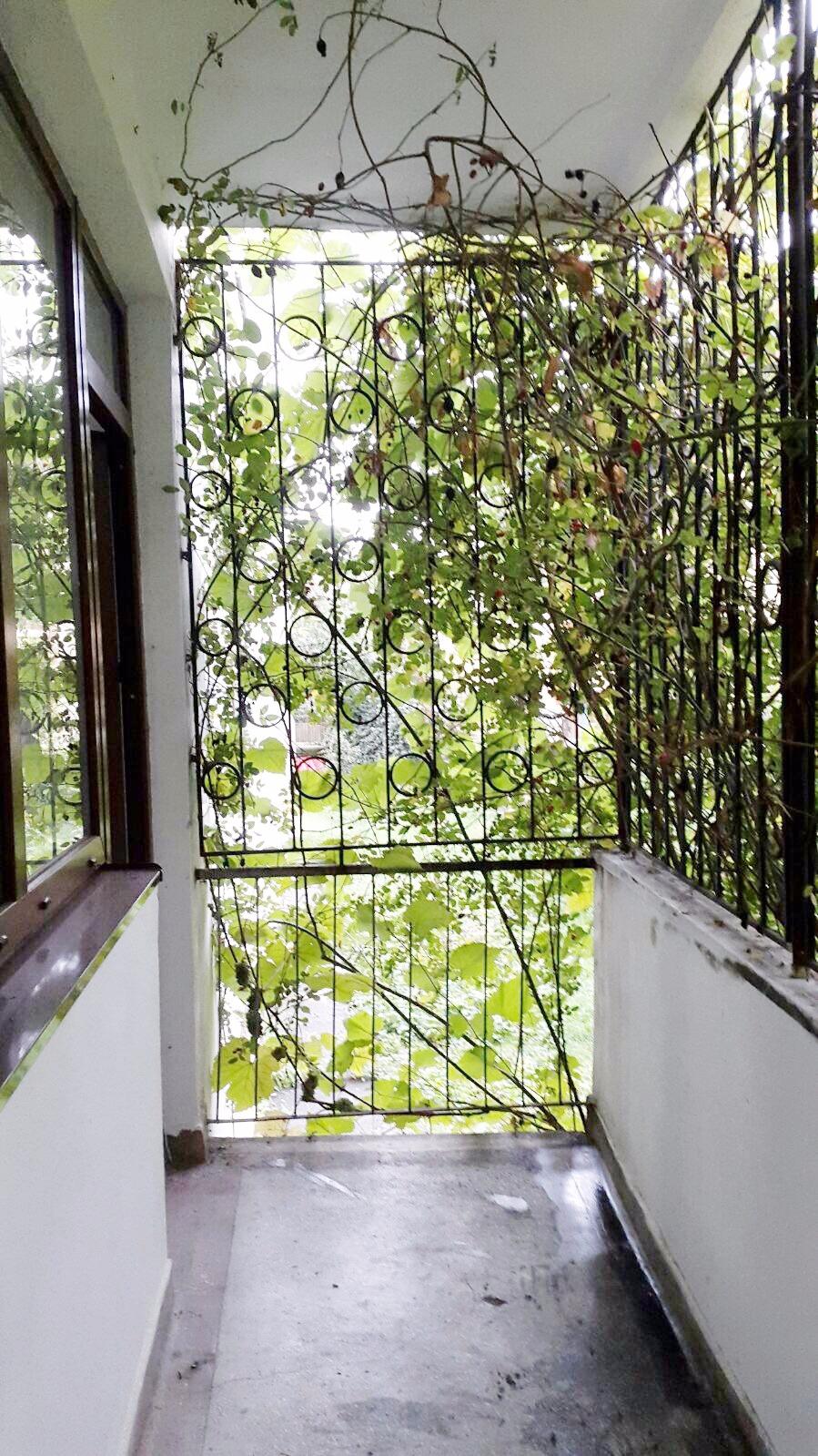 Apartament de vânzare 2 camere Grigorescu - 25444AV | BLITZ Cluj-Napoca | Poza11