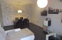 Apartament cochet, 2 camere, 57 mp, decomandat, zona Porii, mobilat modern!