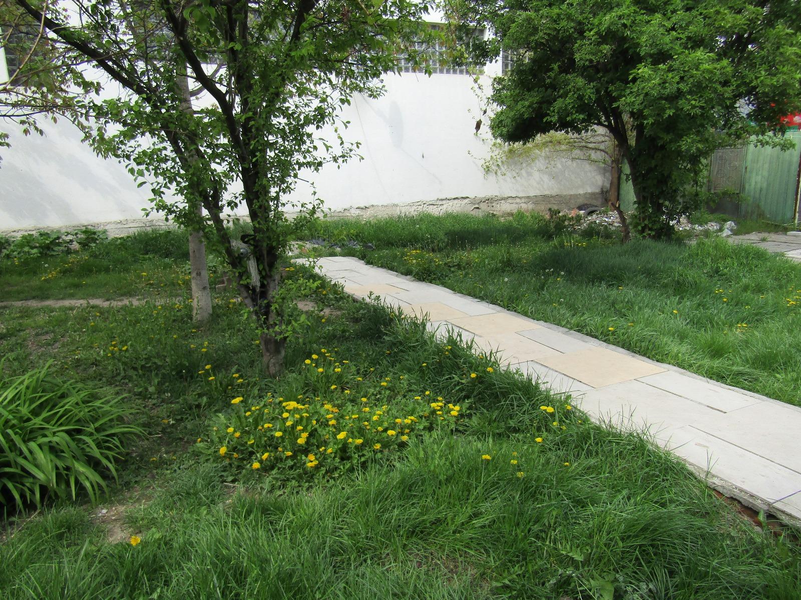 Apartament de vânzare 2 camere Central - 25453AV | BLITZ Cluj-Napoca | Poza7