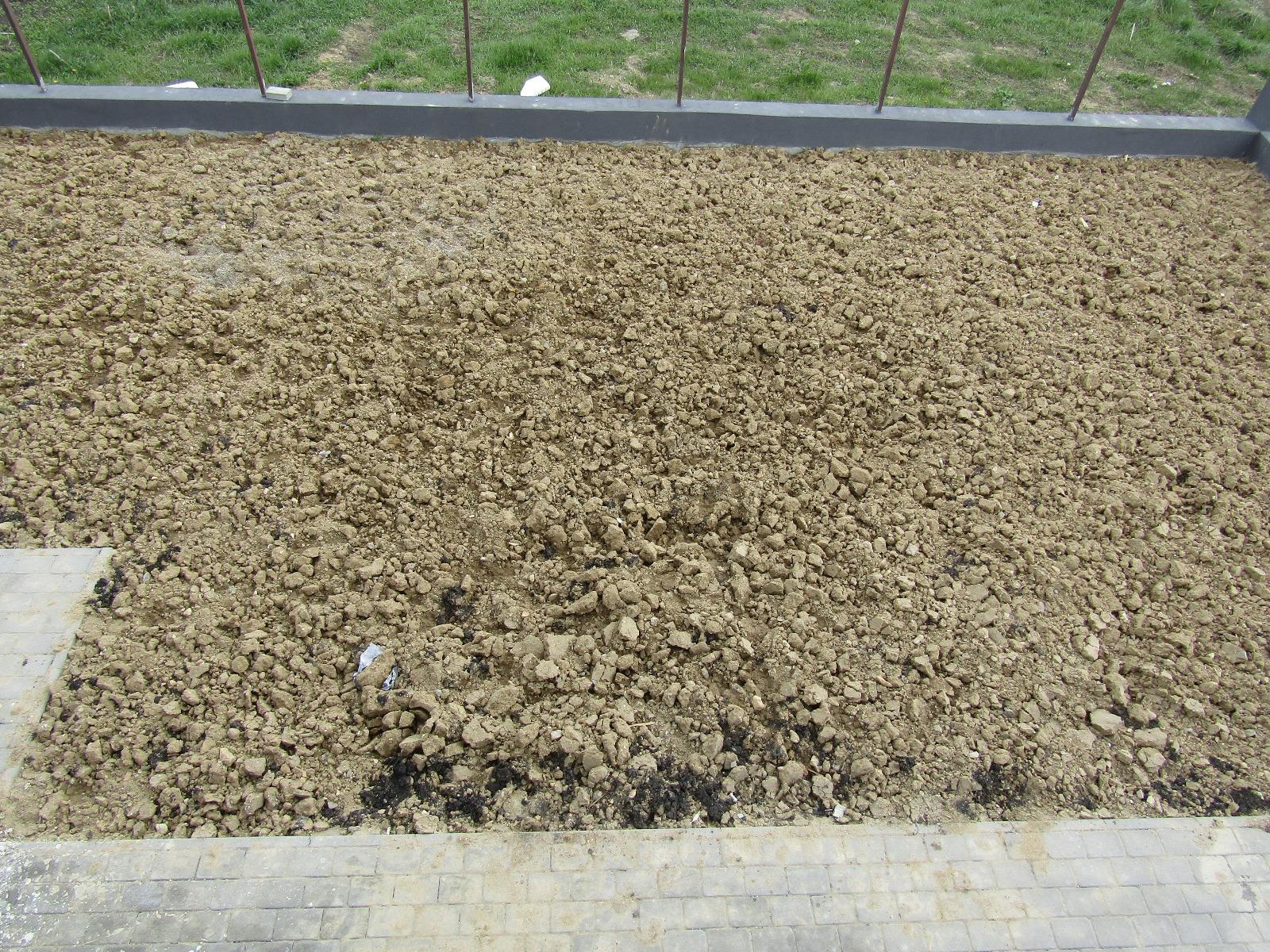 Casa de vânzare 4 camere Gheorgheni - 25463CV | BLITZ Cluj-Napoca | Poza15