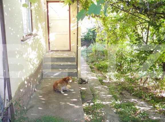 Teren de vânzare Andrei Mureşanu - 25469TV | BLITZ Cluj-Napoca | Poza6