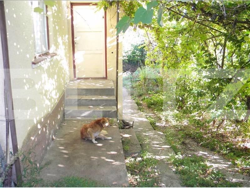 Teren de vânzare Andrei Mureşanu - 25469TV | BLITZ Cluj-Napoca | Poza6