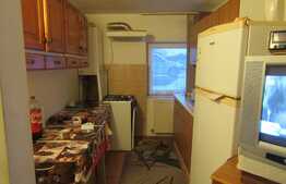 Apartament cu 2 camere, 44 mp, zona strazii Frunzisului