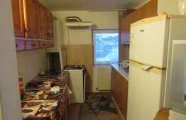 Apartament cu 2 camere, 44 mp, zona strazii Frunzisului