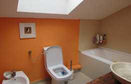 Apartament pe doua niveluri, 3 camere, 70 mp! Zona strazii Florilor!