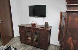 Apartament pe doua niveluri, 3 camere, 70 mp! Zona strazii Florilor!