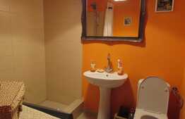 Apartament pe doua niveluri, 3 camere, 70 mp! Zona strazii Florilor!