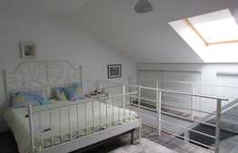 Apartament pe doua niveluri, 3 camere, 70 mp! Zona strazii Florilor!