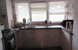 Apartament pe doua niveluri, 3 camere, 70 mp! Zona strazii Florilor!