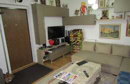 Vanzare apartament cu 2 camere, 60 mp! Zona strazii Florilor!