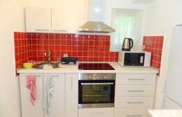 Garsoniera 40 mp, A. C., nisa de dormit, mobilat modern, zona Piata Muzeului