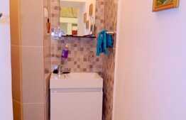 Garsoniera 40 mp, A. C., nisa de dormit, mobilat modern, zona Piata Muzeului