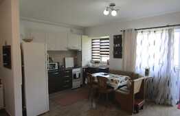 Vanzare 2 camere, 50 mp, balcon, zona strazii Cetatii! Mobilat!