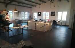 Hala de inchiriat, 550 mp utili, 10 locuri de parcare