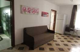 Apartament 2 camere, 42 mp! Mobilat si utilat! Parcare! Zona strazii Florilor!