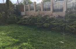 O casa moderna ce da tonul tendintelor