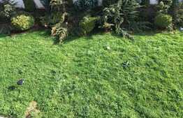 O casa moderna ce da tonul tendintelor