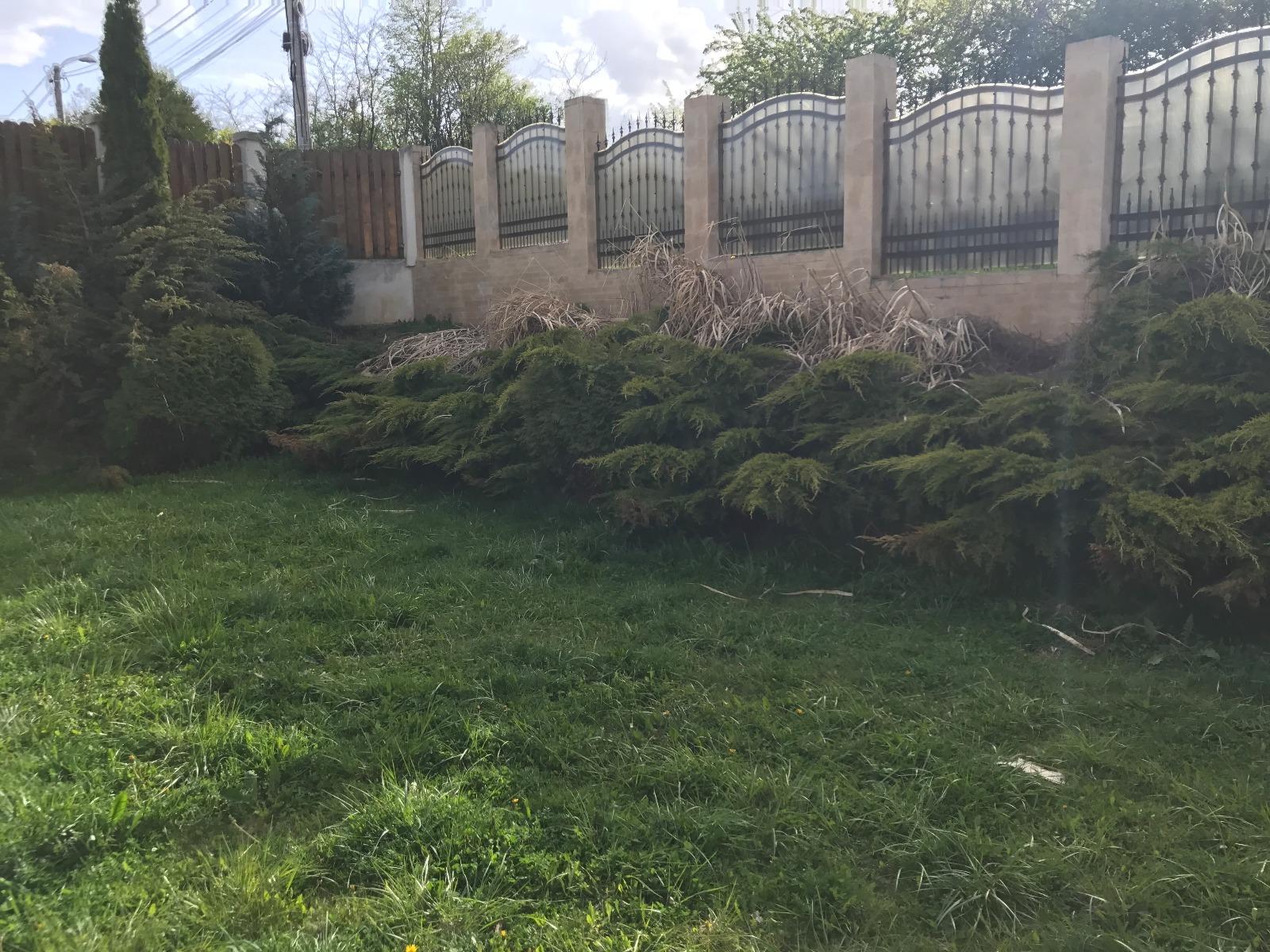 Casa de vânzare 4 camere Bună Ziua - 25520CV | BLITZ Cluj-Napoca | Poza10