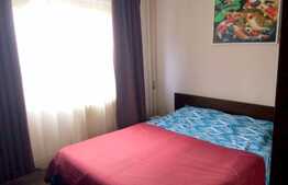 Apartament 2 camere, 50 mp, decomandat, zona strazii Nicolae Titulescu