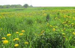 Teren intravilan de 3800 mp! Toate utilitatile! Zona Muzeul Apei!