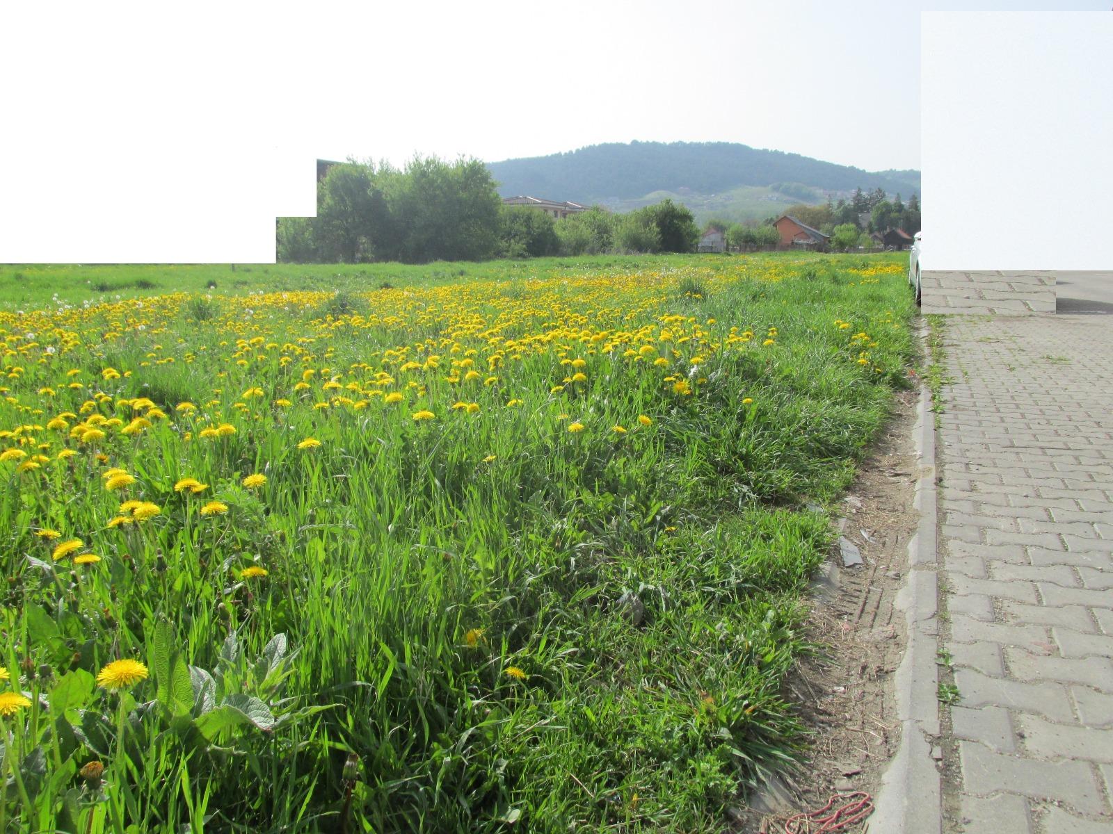 Teren de vânzare Floreşti - 25539TV | BLITZ Cluj-Napoca | Poza2