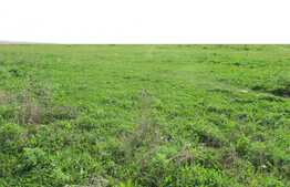 Teren intravilan de 948 mp! Utilitati in zona! Locatie usor accesibila!