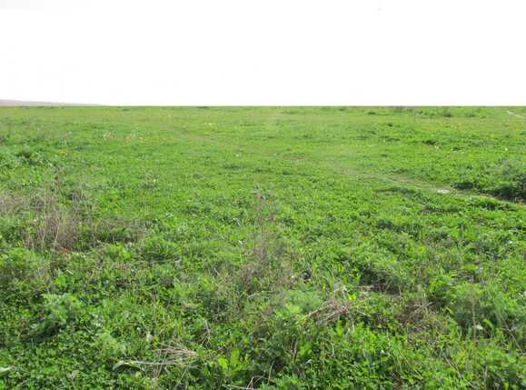 Teren de vânzare Floreşti - 25541TV | BLITZ Cluj-Napoca | Poza1