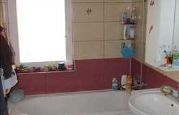 Vanzare 2 camere, 55 mp mp, decomandat, la 2 minute de Profi