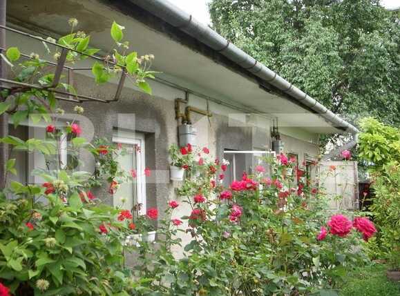 Casa de vânzare 4 camere Semicentral - 25554CV | BLITZ Cluj-Napoca | Poza2