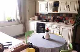 De vanzare apartament 3 camere, 60 mp, zona strazii Constantin Brancusi