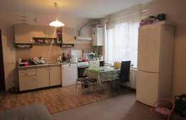 Apartament de vanzare 3 camere, 64 mp! Parcare! Zona strazii Tineretului!