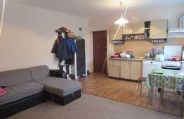 Apartament de vanzare 3 camere, 64 mp! Parcare! Zona strazii Tineretului!