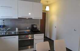 Garsoniera de 37 mp! Mobilata si utilata! Parcare! Zona strazii Plopilor!