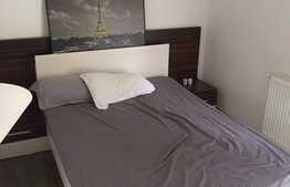 Apartament 2 camere, 54 mp, terasa 17 mp, 2 locuri parcare, zona strazii Meteor