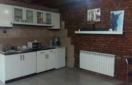 Apartament 1 camera, 61 mp, zona Casa de Cultura a Studentilor