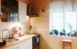 Apartament 3 camere, 95 mp, terasa 250 mp, boxa subsol, zona Calea Dorobantilor