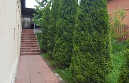 Casa individuala 7 camere, 420 mp utili, teren de 1000 mp