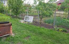 Casa individuala 7 camere, 420 mp utili, teren de 1000 mp