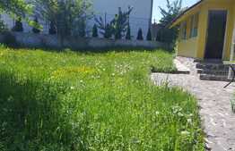 De vanzare casa individuala 48 mp, 400 mp teren, zona linistita!