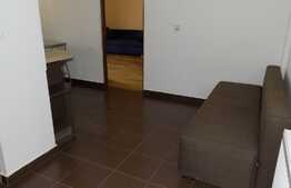 Vanzare apartament cu 1 camera, 45.4 mp! Mobilat si utilat! Zona Somesului!