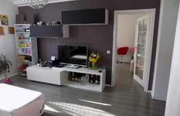 Apartament cu 4 camere, scara interioara! 100 mp! Zona strazii Teilor!