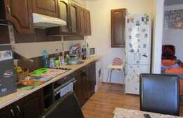 2 camere, 60 mp! Gradina de 38 mp! Mobilat si utilat! Zona Terra! Garaj!