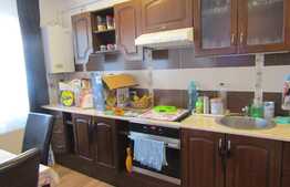 2 camere, 60 mp! Gradina de 38 mp! Mobilat si utilat! Zona Terra! Garaj!