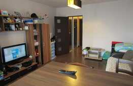 De vanzare garsoniera, 28 mp, decomandata, etaj intermediar, zona Mercur