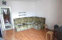 Garsoniera de vanzare, 29 mp, boxa subsol, zona Casa Radio